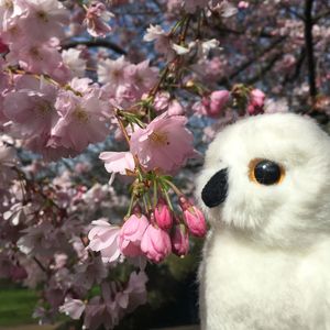 Lullaby 日落·入夜