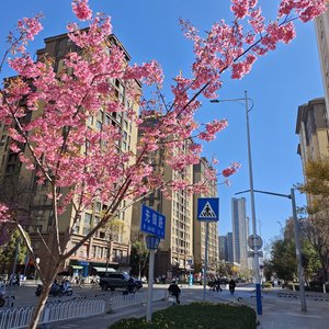 孤云烟火