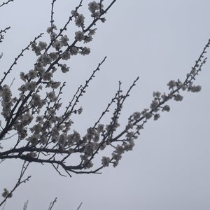 你会不会路过我的明天