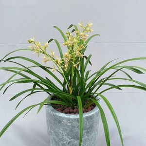 《位芯片音色唤醒的经典游戏怀旧095
