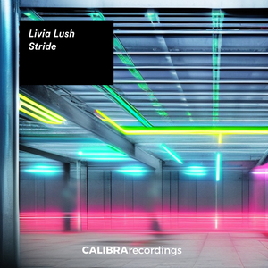 Electric City Lights