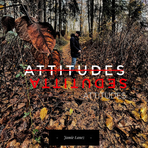 Attitudes
