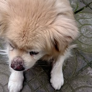 雨中释怀