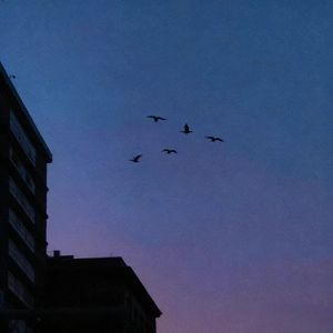 每当我找不到存在的意义