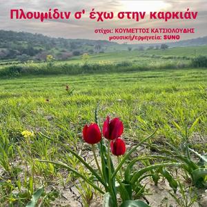 Πλουμίδιν σ' έχω στην καρκιάν