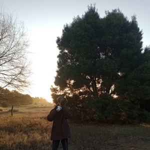 Otoño