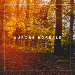 Aurore boréale (Radio Edit)