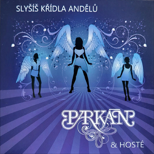 Strakonická novoroční