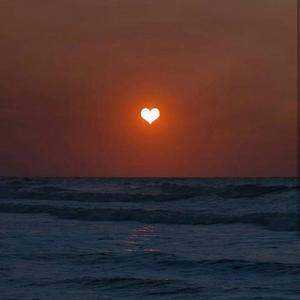 【free】埋葬夏日