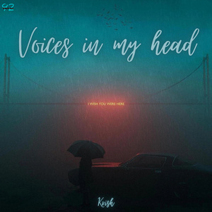Voices In My Head