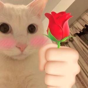 不知道取什么名字的情歌（Prod by ATTBEAT）