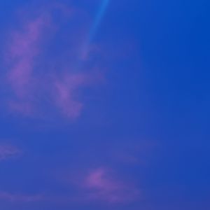 失われたコーンフラワー