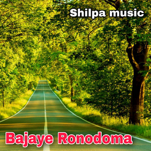 Bajaye Ronodoma