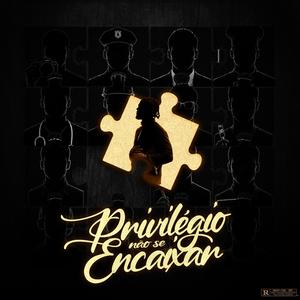 Privilégio não se encaixar (feat. Diêni Stuber & Dj rani no beat)