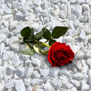 Se faire à cette idée