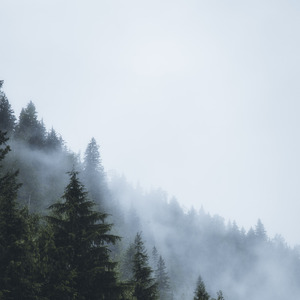 Mimpi Yang Hilanggg (Cover)