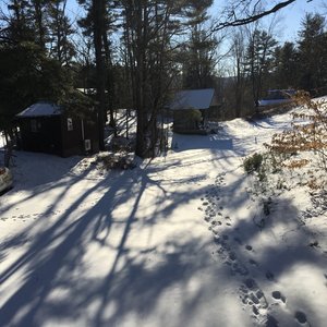 The Comrade's Cannon