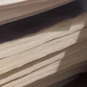 来自十六岁的将然