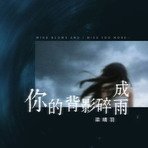 你的背影碎成雨