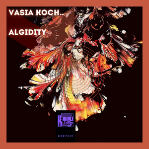 Algidity (Original mix)
