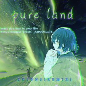 pure land（LUIONS remix）