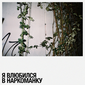 Я влюбился в наркоманку