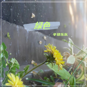 绿色（缅甸版）