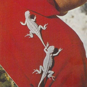 ralph lauren (prod. hector vaé)