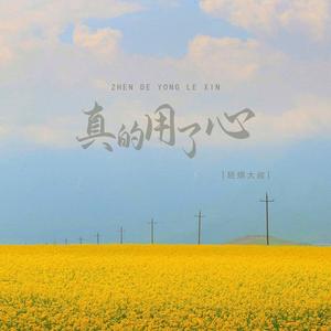 真的用了心