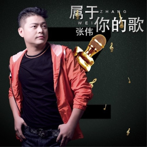 属于你的歌