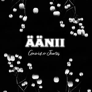 Äänii (feat. Jemes)
