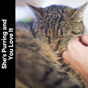 Famously Ambient, Pt. 25