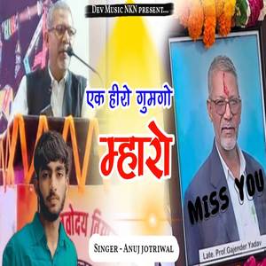 एक हीरो गुमगो को म्हारो