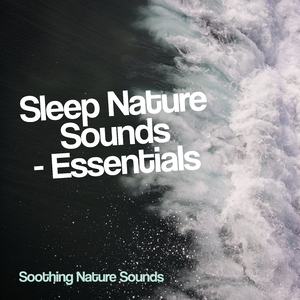 Blue Lake and Evergreen