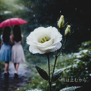 雨は止むから