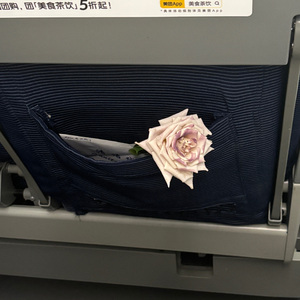 并不一定要长成玫瑰