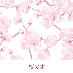 バロンのうた (オルゴール)『耳をすませば』より