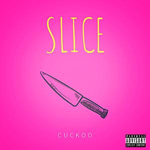 Slice