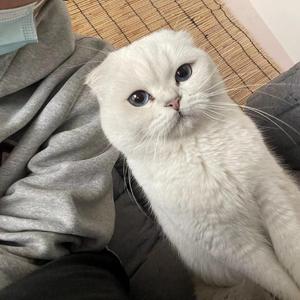 伤感的灰烬之境