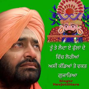 ਤੂੰ ਤੇ ਲੈਂਦਾ ਏ ਫੁੱਲਾਂ ਦੇ ਵਿੱਚ ਲੋਰੀਆਂ ਅਸੀਂ ਕੰਡਿਆਂ ਤੇ ਵਕਤ ਗੁਜ਼ਾਰਿਆ