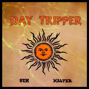 Day Tripper