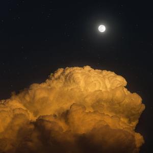 Forgettable (unseen)