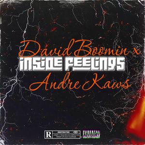 Inside Feelings (feat. Andre Kaws)