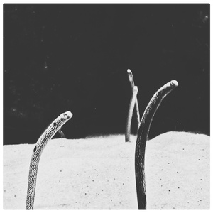 Orden der Nacht (Outro)