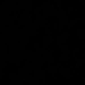 Knight in the Shadow