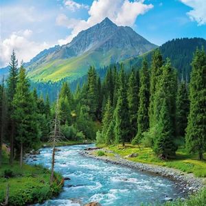 钢琴的治愈乐章