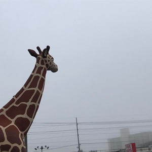 nothing cuts it anymore