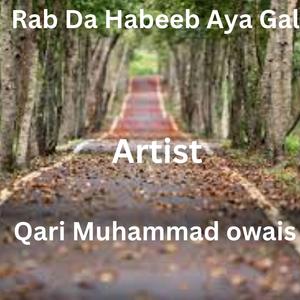 Rab Da Habeeb Aya Gal