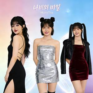 나비의 비밀