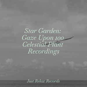 Melodic Veil of Secrecy